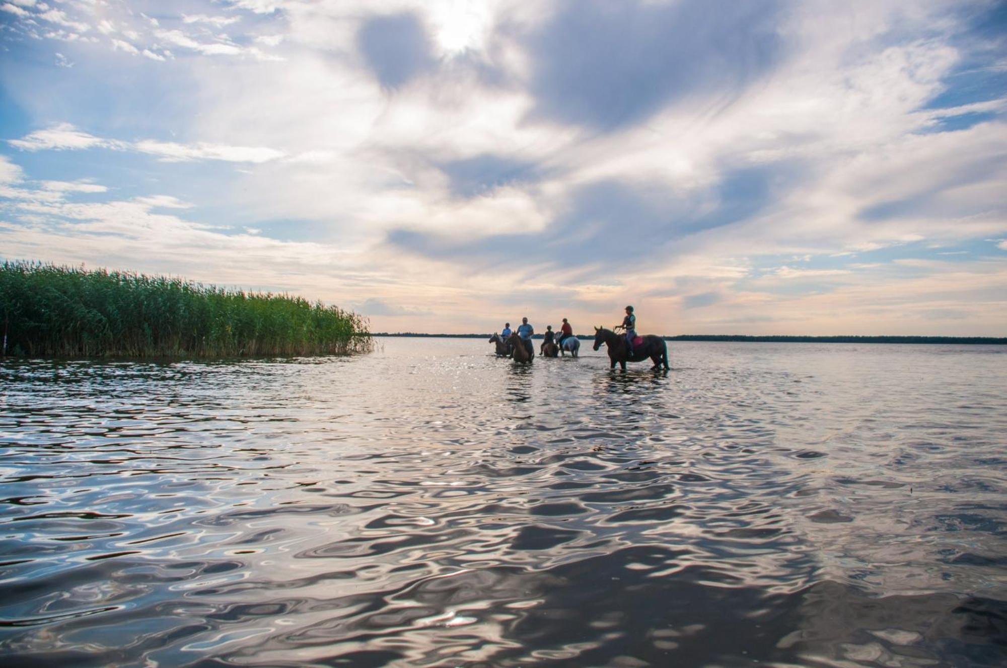 Lodge Projekt Stajnia - Nadmorski Osrodek Jazdy Konnej - Łazy