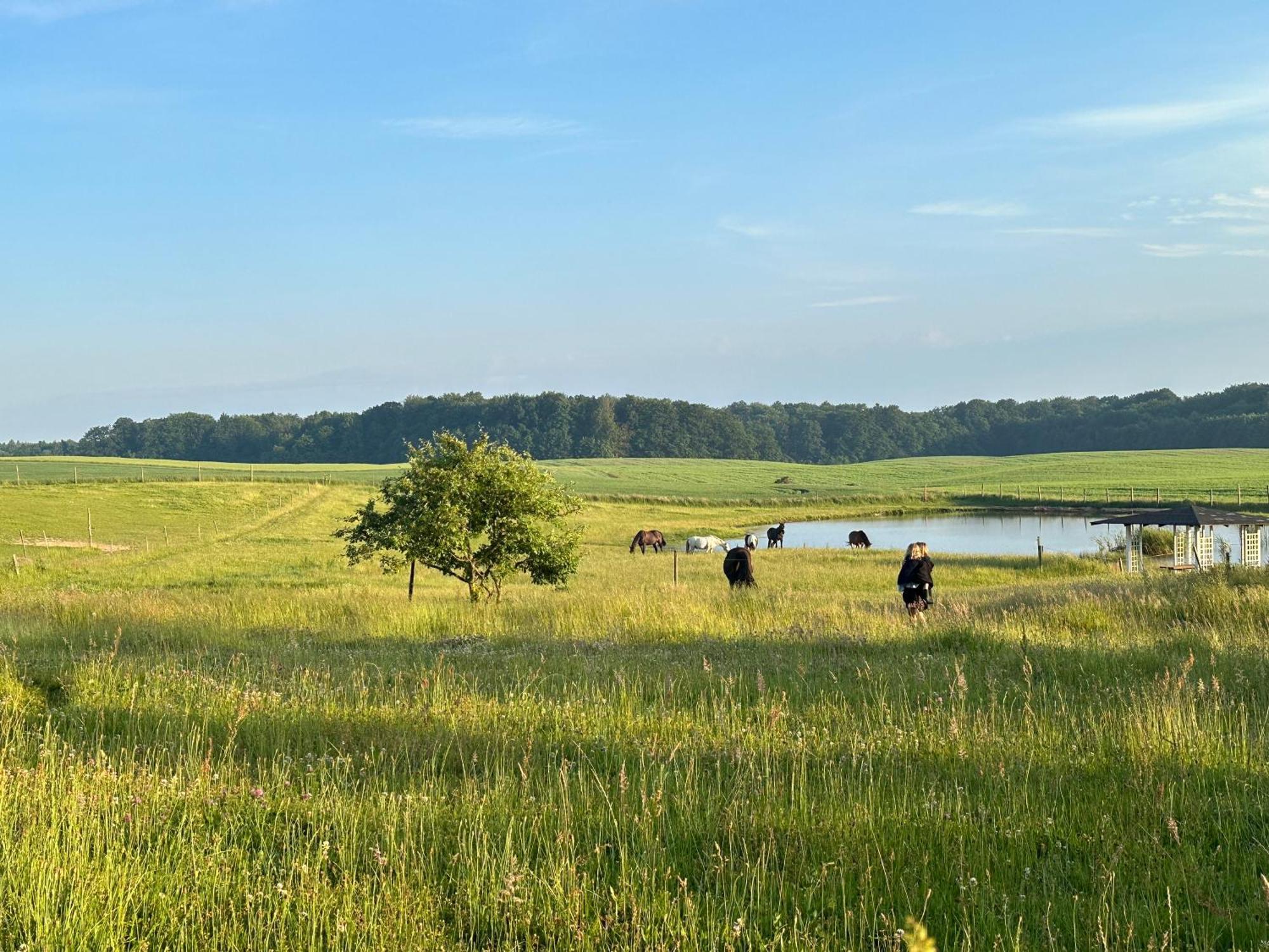 Projekt Stajnia - Nadmorski Osrodek Jazdy Konnej - Lodge Łazy